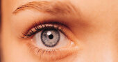 Curiosidades sobre los ojos Curiosidades sobre los ojos