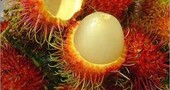 Rambután, fruta exótica rica en vitamina C