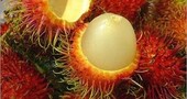 Rambután, fruta exótica rica en vitamina C Rambután, fruta exótica rica en vitamina C
