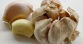 Trata las úlceras estomacales con ajo Trata las úlceras estomacales con ajo
