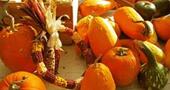 Propiedades medicinales de la calabaza Propiedades medicinales de la calabaza
