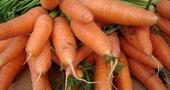 Propiedades de la zanahoria cruda