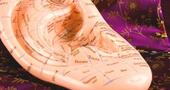 Auriculoterapia para adelgazar Auriculoterapia para adelgazar