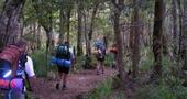 Actividades para disfrutar el aire libre en otoño Actividades para disfrutar el aire libre en otoño