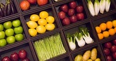 Fitoquímicos: ¿qué son y para qué sirven? Fitoquímicos: ¿qué son y para qué sirven?