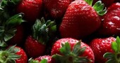 Alimentos para la memoria Alimentos para la memoria