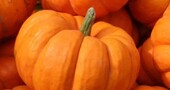 Propiedades del aceite de semillas de calabaza Propiedades del aceite de semillas de calabaza