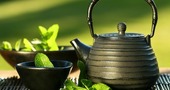 ¿Por qué beber té verde? - Parte II ¿Por qué beber té verde? - Parte II
