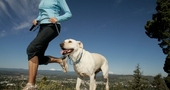 6 razones para hacer ejercicio con tu mascota
