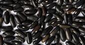 Porotos negros: Un tesoro de antioxidantes Porotos negros: Un tesoro de antioxidantes