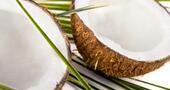 El aceite de coco previene la diabetes El aceite de coco previene la diabetes