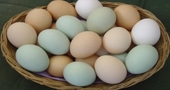 7 razones para consumir huevos