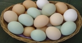 7 razones para consumir huevos 7 razones para consumir huevos