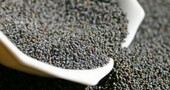 Grandes fuentes de nutrientes Grandes fuentes de nutrientes
