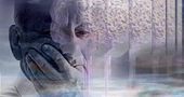 Entrenando día a día, guía para retrasar el Alzheimer Entrenando día a día, guía para retrasar el Alzheimer