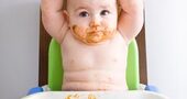 Mi bebe no quiere comer Mi bebe no quiere comer