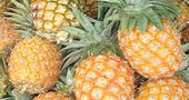 Propiedades de la piña natural Propiedades de la piña natural