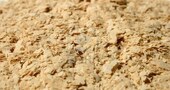 Beneficios de la levadura de cerveza Beneficios de la levadura de cerveza