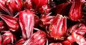 Beneficios de la flor de jamaica Beneficios de la flor de jamaica