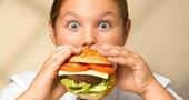 Efectos aditivos de la comida chatarra Efectos aditivos de la comida chatarra