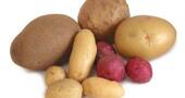Patatas al romero Patatas al romero