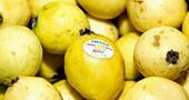 Beneficios de la guayaba Beneficios de la guayaba