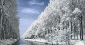 Alergias de invierno Alergias de invierno