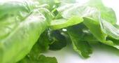 Previene la diabetes consumiendo vegetales Previene la diabetes consumiendo vegetales