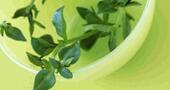 3 razones por las que elegir medicina natural 3 razones por las que elegir medicina natural