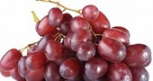 Los alimentos más saludables para la pancreatitis (Parte 2) Los alimentos más saludables para la pancreatitis (Parte 2)