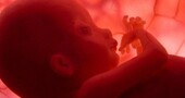 Conoce el sexo del bebé mediante un análisis de sangre Conoce el sexo del bebé mediante un análisis de sangre