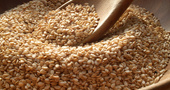 Alimentación en la menopausia Alimentación en la menopausia