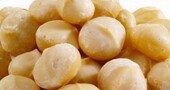 Nueces de Macadamia, fruto seco cardiosaludable