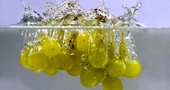Aceite de uva para tratar las cicatrices del acné Aceite de uva para tratar las cicatrices del acné