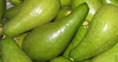Aguacate Aguacate