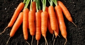 Beneficios de los vegetales anaranjados