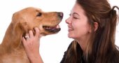 Beneficios de tener mascotas Beneficios de tener mascotas