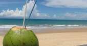 Beneficios del agua de coco Beneficios del agua de coco