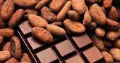 Beneficios del cacao