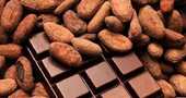 Beneficios del cacao Beneficios del cacao