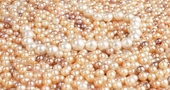 Beneficios del polvo de perlas Beneficios del polvo de perlas