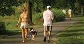 Caminar por 20 minutos puede salvar nuestra vida y mas Caminar por 20 minutos puede salvar nuestra vida y mas