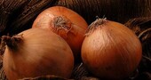 Alimentación para el sistema respiratorio Alimentación para el sistema respiratorio