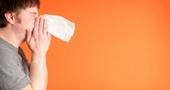 Cómo prevenir las alergias naturalmente Cómo prevenir las alergias naturalmente