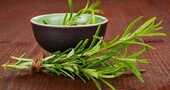 Combatir el estrés con infusiones naturales Combatir el estrés con infusiones naturales