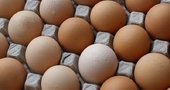 Cómo sustituir los huevos con alimentos saludables