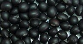 Beneficios de la soja negra Beneficios de la soja negra