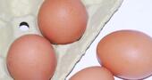 Cuidado con los huevos en verano Cuidado con los huevos en verano