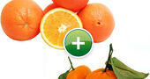 ¿Cuál es la diferencia nutricional entre la naranja y la mandarina? Nutrientes naranja y mandarina ¿Cuál es la diferencia nutricional entre la naranja y la mandarina? Nutrientes naranja y mandarina