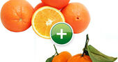 ¿Cuál es la diferencia nutricional entre la naranja y la mandarina? Nutrientes naranja y mandarina